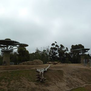 Elephant Odyssey - Asian Elephant Exhibit