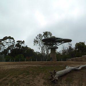 Elephant Odyssey - Asian Elephant Exhibit