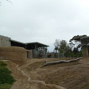 Elephant Odyssey - Asian Elephant Exhibit
