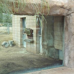 Elephant Odyssey - Baird's Tapir/Guanaco/Capybara Exhibit