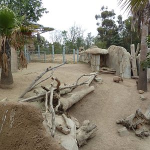 Elephant Odyssey - Baird's Tapir/Guanaco/Capybara Exhibit