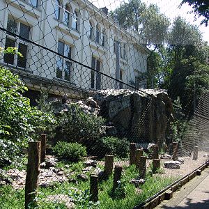 Birds of Prey Aviary 1