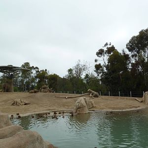 Elephant Odyssey - Asian Elephant Exhibit