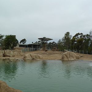 Elephant Odyssey - Asian Elephant Exhibit