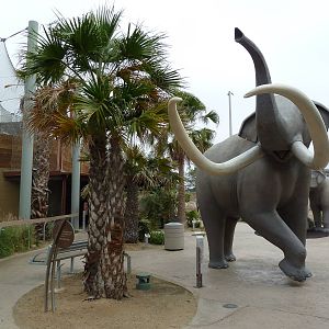 Elephant Odyssey - Mammoth Statue
