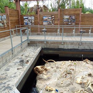 Elephant Odyssey - Tar Pit