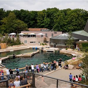 Dolphinlagoon at Nürnberg