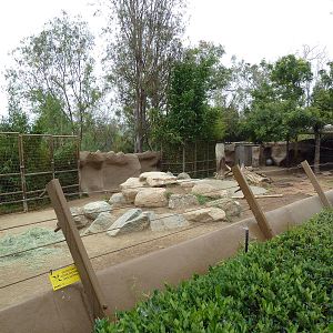 Sichuan Takin Exhibit