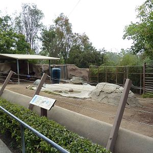 Sichuan Takin Exhibit