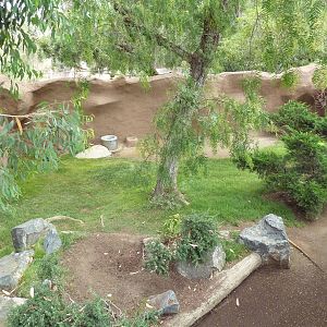 Cavendish's Dik-Dik Exhibit