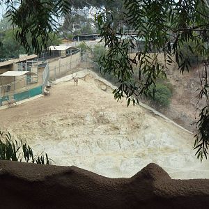 Off-Exhibit Hoofstock Enclosure