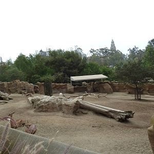 Southern Gerenuk/Lesser Kudu/Speke's Gazelle Exhibit