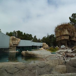 Polar Bear Exhibit