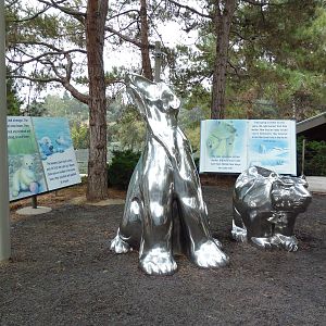 Polar Bear Exhibit - Statues