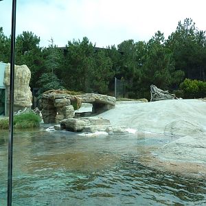 Polar Bear Exhibit