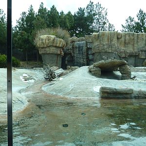 Polar Bear Exhibit