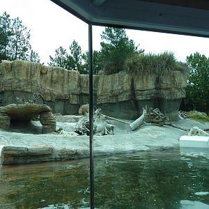 Polar Bear Exhibit