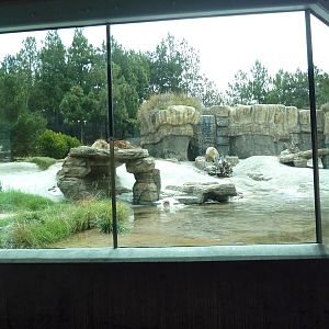 Polar Bear Exhibit
