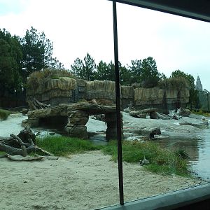 Polar Bear Exhibit