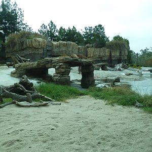 Polar Bear Exhibit