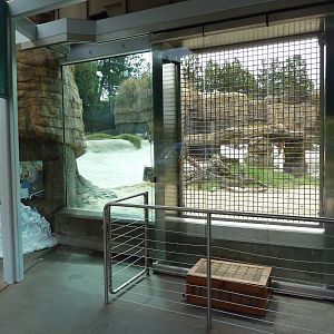Polar Bear Exhibit - Training Wall