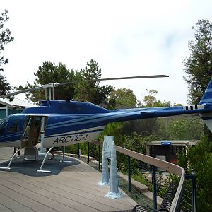 Polar Bear Exhibit - Helicopter