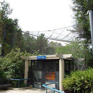 Walk-Through Arctic Aviary