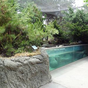 Walk-Through Arctic Aviary