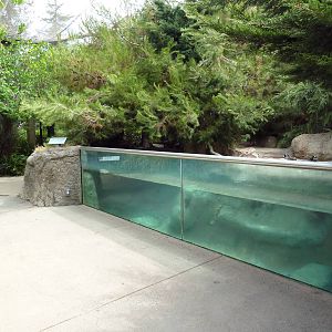 Walk-Through Arctic Aviary