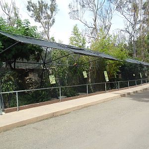 Australian/Asian Aviaries