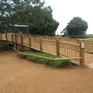 View of ramp up to Giraffe House