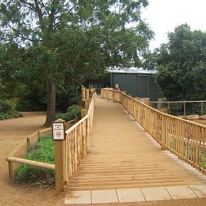 View of ramp up to Giraffe House