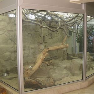 Meerkat's indoor exhibit