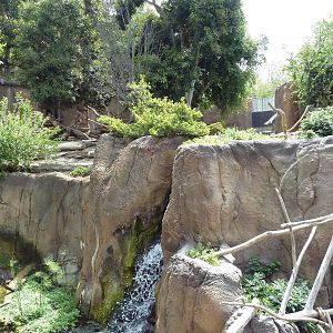 Ituri Forest Exhibit