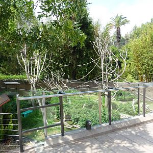 Ituri Forest Exhibit