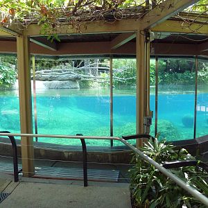 River Hippo Exhibit