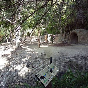 Okapi/Black Duiker Exhibit