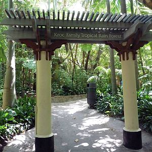 Lost Forest Entrance