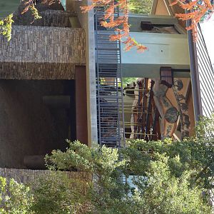 Conservation Carousel