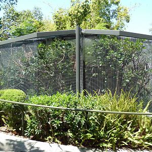 Wings Of Australasia Aviaries