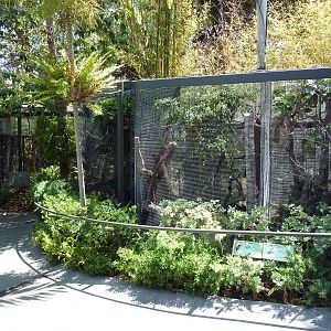 Wings Of Australasia Aviaries
