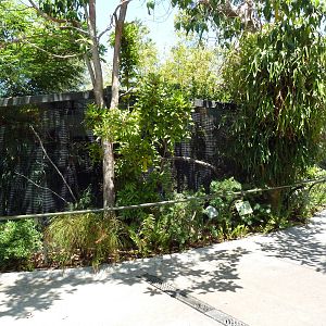Wings Of Australasia Aviaries