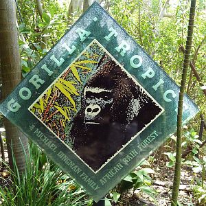 Gorilla Exhibit Sign