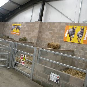 Donkey indoor area at Blackpool Zoo 07/08/11