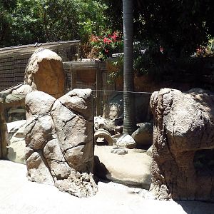 Children's Zoo - Meerkat Exhibit