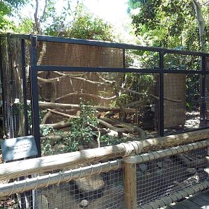 Children's Zoo - Fossa Exhibit