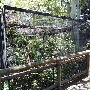 Children's Zoo - Aviary (6 Species)