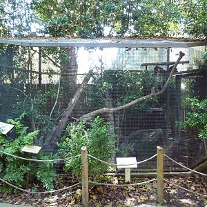 Children's Zoo - Ocelot Exhibit