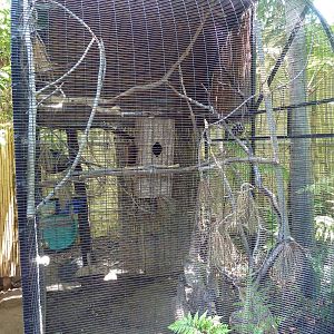 Children's Zoo - Thick-Billed Parrot Exhibit