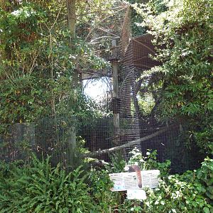 Children's Zoo - Red Panda Exhibit